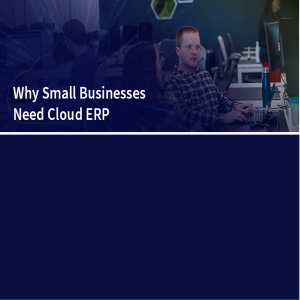 ¿Por qué las pequeñas empresas necesitan un ERP en la nube?